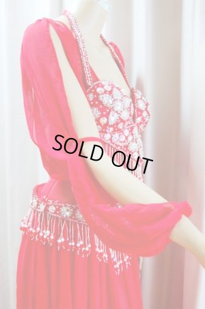 画像4: ゴールデンエラモデルブラベルトコスチューム(ネット、アーム、スカート付き）