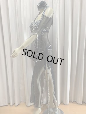 画像4: Hanine特注パワーネット生地バラディドレス