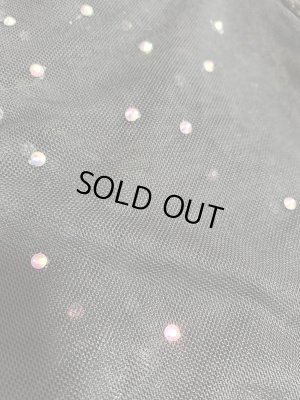 画像8: Hanine特注パワーネット生地バラディドレス