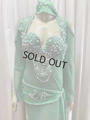 画像2: Hanine特注パワーネット生地バラディドレス