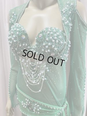 画像3: Hanine特注パワーネット生地バラディドレス