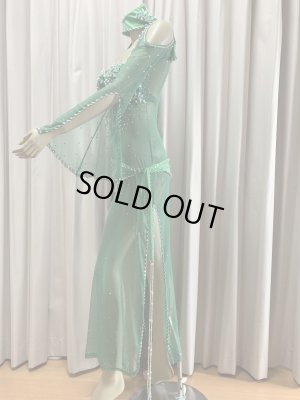 画像4: Hanine特注パワーネット生地バラディドレス