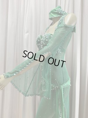 画像5: Hanine特注パワーネット生地バラディドレス