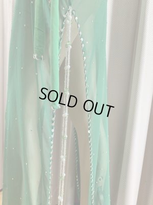 画像6: Hanine特注パワーネット生地バラディドレス