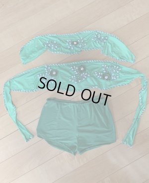 画像8: Hanine特注パワーネット生地バラディドレス