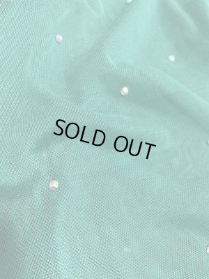 画像10: Hanine特注パワーネット生地バラディドレス