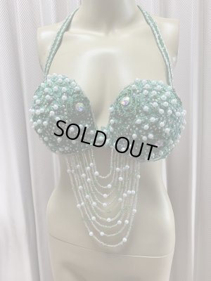 画像11: Hanine特注パワーネット生地バラディドレス