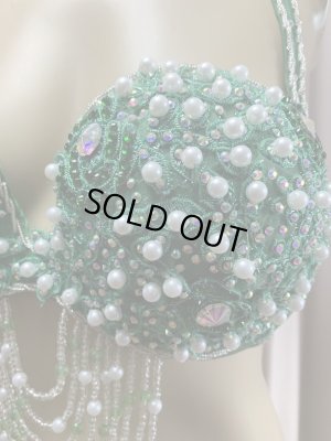 画像12: Hanine特注パワーネット生地バラディドレス