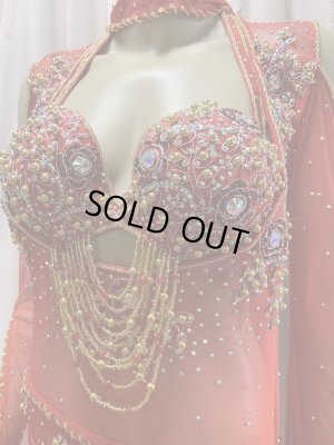 画像3: Hanine特注パワーネット生地バラディドレス