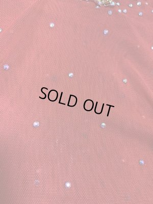 画像10: Hanine特注パワーネット生地バラディドレス