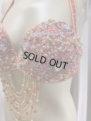 画像12: Hanine特注パワーネット生地バラディドレス