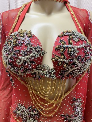 画像3: Hanine特注パワーネット生地バラディドレス