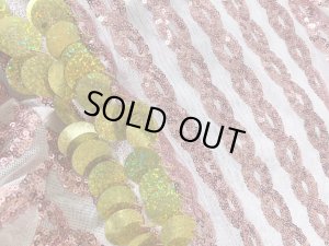 画像14: スパンコールバラディドレス（5点セット）