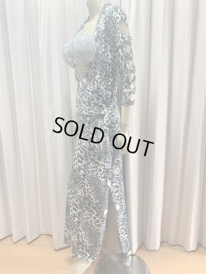 画像4: レオパード柄バラディドレス