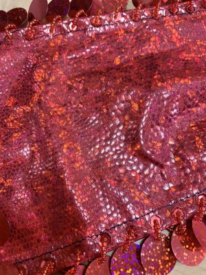 画像6: コインスパン＆フリンジ付きヒップスカーフ