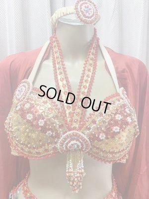 画像3: ゴールデンエラスタイル・ブラベルトコスチューム(スカート、アーム、ヘッドアクセ付き）