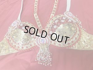 画像9: ゴールデンエラスタイル・ブラベルトコスチューム(スカート、アーム、ヘッドアクセ付き）