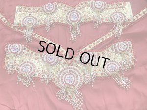 画像11: ゴールデンエラスタイル・ブラベルトコスチューム(スカート、アーム、ヘッドアクセ付き）