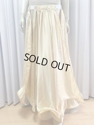 画像13: ゴールデンエラスタイル・ブラベルトコスチューム(スカート、アーム、ヘッドアクセ付き）