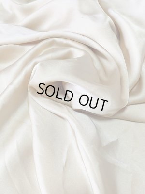 画像11: ゴールデンエラスタイル・ブラベルトコスチューム(スカート、アーム、ヘッドアクセ付き）