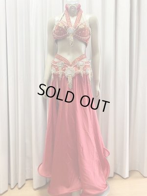 画像4: ゴールデンエラスタイル・ブラベルトコスチューム(スカート、アーム、ヘッドアクセ付き）