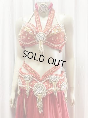 画像5: ゴールデンエラスタイル・ブラベルトコスチューム(スカート、アーム、ヘッドアクセ付き）