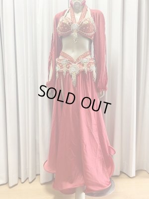 画像1: ゴールデンエラスタイル・ブラベルトコスチューム(スカート、アーム、ヘッドアクセ付き）