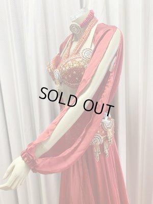 画像3: ゴールデンエラスタイル・ブラベルトコスチューム(スカート、アーム、ヘッドアクセ付き）