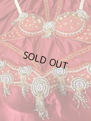 画像7: ゴールデンエラスタイル・ブラベルトコスチューム(スカート、アーム、ヘッドアクセ付き）