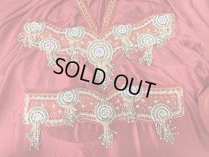 画像9: ゴールデンエラスタイル・ブラベルトコスチューム(スカート、アーム、ヘッドアクセ付き）