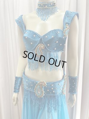 画像2: ゴールデンエラスタイル・ブラベルトコスチューム(スカート、アーム、ネック付き）