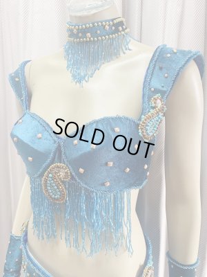 画像3: ゴールデンエラスタイル・ブラベルトコスチューム(スカート、アーム、ネック付き）