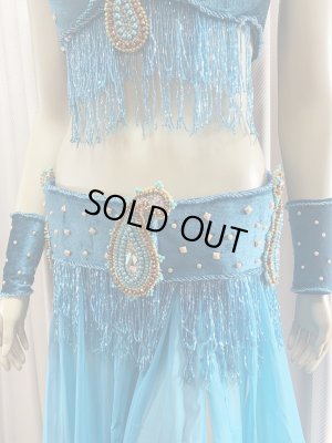 画像4: ゴールデンエラスタイル・ブラベルトコスチューム(スカート、アーム、ネック付き）