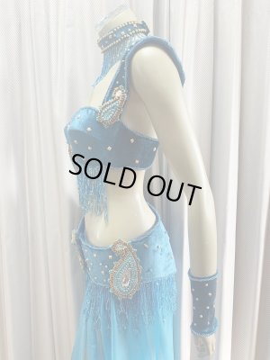 画像5: ゴールデンエラスタイル・ブラベルトコスチューム(スカート、アーム、ネック付き）