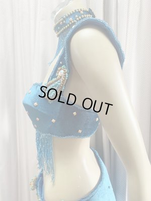 画像6: ゴールデンエラスタイル・ブラベルトコスチューム(スカート、アーム、ネック付き）