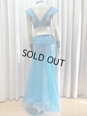 画像7: ゴールデンエラスタイル・ブラベルトコスチューム(スカート、アーム、ネック付き）