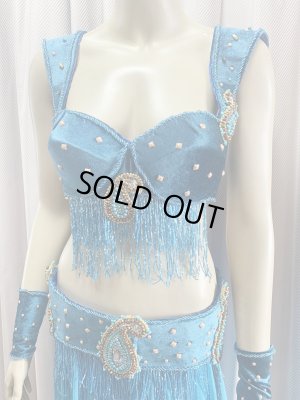 画像8: ゴールデンエラスタイル・ブラベルトコスチューム(スカート、アーム、ネック付き）