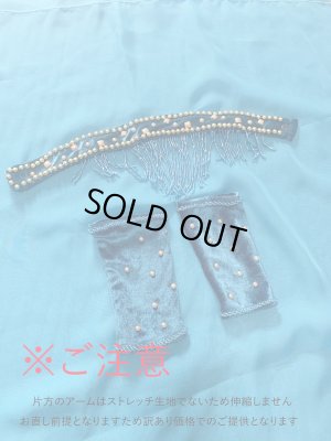 画像11: ゴールデンエラスタイル・ブラベルトコスチューム(スカート、アーム、ネック付き）