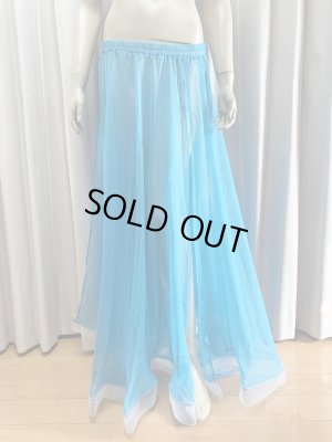 画像16: ゴールデンエラスタイル・ブラベルトコスチューム(スカート、アーム、ネック付き）