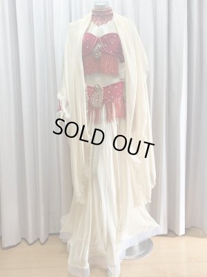 画像15: ゴールデンエラスタイル・ブラベルトコスチューム(スカート、アーム、ネック付き）