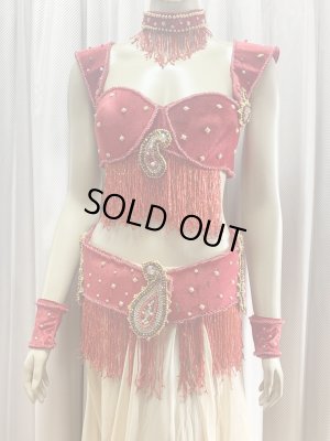 画像2: ゴールデンエラスタイル・ブラベルトコスチューム(スカート、アーム、ネック付き）