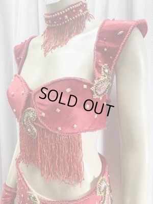 画像6: ゴールデンエラスタイル・ブラベルトコスチューム(スカート、アーム、ネック付き）