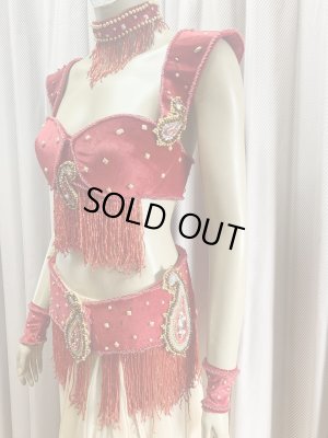 画像7: ゴールデンエラスタイル・ブラベルトコスチューム(スカート、アーム、ネック付き）