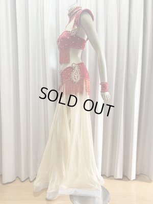 画像3: ゴールデンエラスタイル・ブラベルトコスチューム(スカート、アーム、ネック付き）