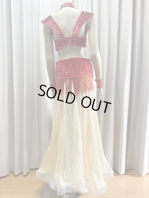 画像4: ゴールデンエラスタイル・ブラベルトコスチューム(スカート、アーム、ネック付き）