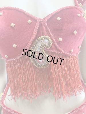 画像8: ゴールデンエラスタイル・ブラベルトコスチューム(スカート、アーム、ネック付き）