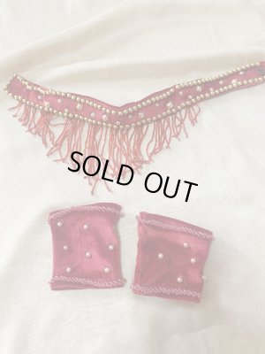 画像14: ゴールデンエラスタイル・ブラベルトコスチューム(スカート、アーム、ネック付き）