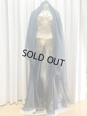 画像13: ゴールデンエラスタイル・ブラベルトコスチューム(スカート、スリーブ、ベール付き）