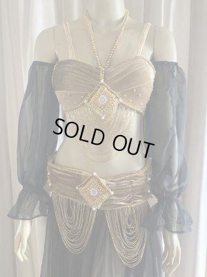 画像2: ゴールデンエラスタイル・ブラベルトコスチューム(スカート、スリーブ、ベール付き）