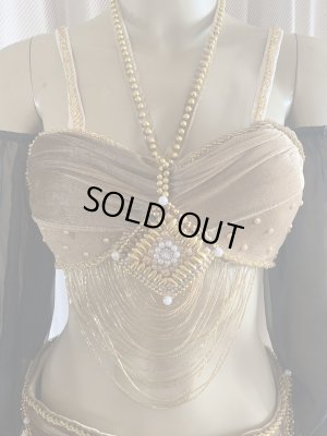 画像3: ゴールデンエラスタイル・ブラベルトコスチューム(スカート、スリーブ、ベール付き）